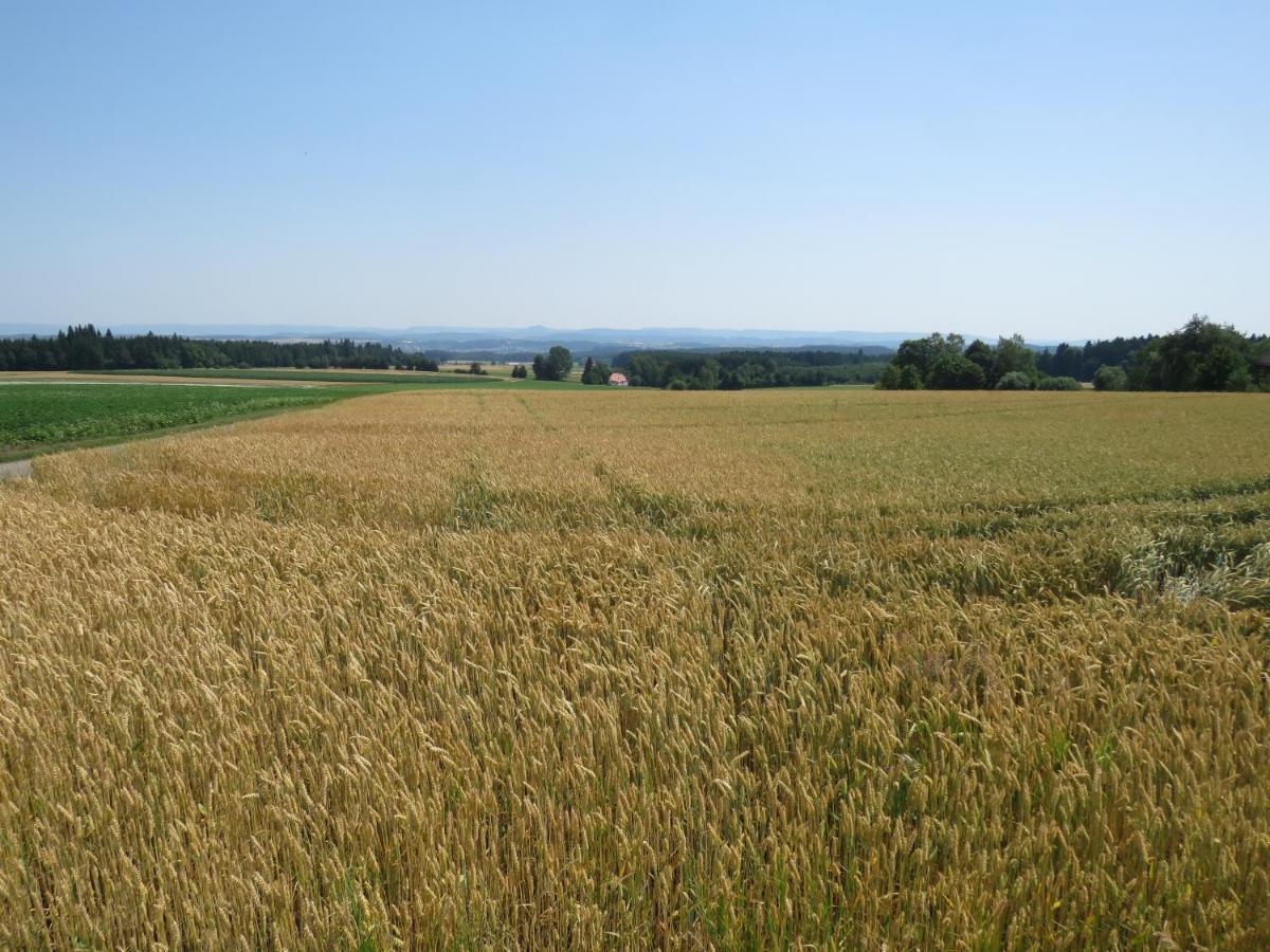 Landgasthof Ritter Villingen-Schwenningen Buitenkant foto