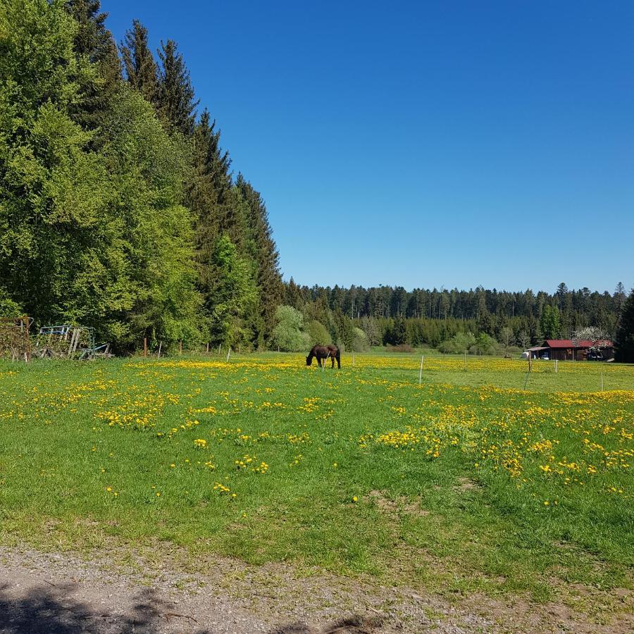 Landgasthof Ritter Villingen-Schwenningen Buitenkant foto